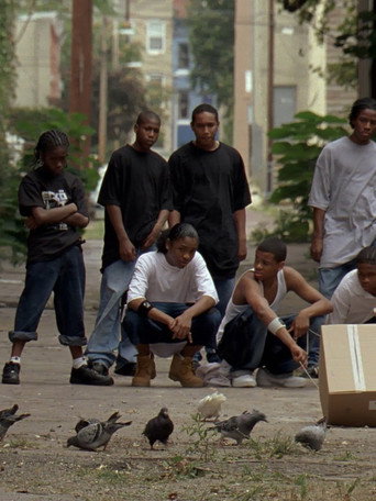 The Wire