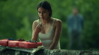 Cena de Hierarquia de necessidades