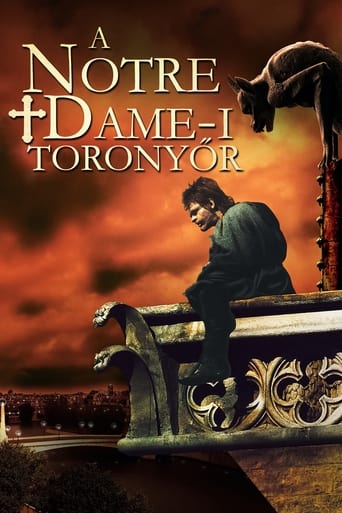 A Notre Dame-i toronyőr