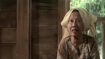 #8 Naga bonar