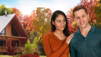 Love at Look Lodge (2020)