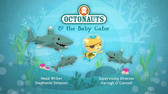 The Spinner Dolphins