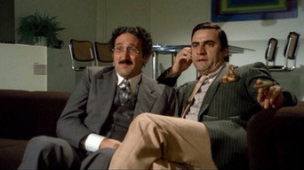 Love in 4 Easy Lessons (1976)