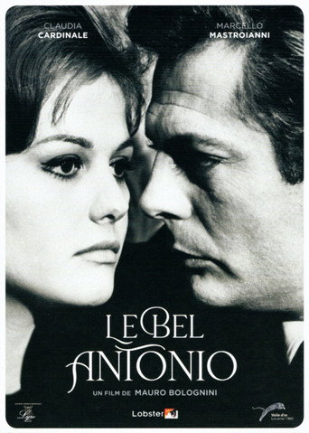 Il bell'Antonio — Posters 18