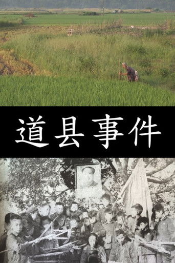 The Daoxian Incident (2026)