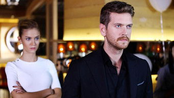 Episode 17 — Episode 17