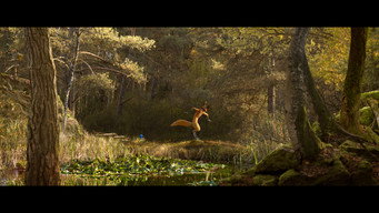 The Fox & the Bird (2019)
