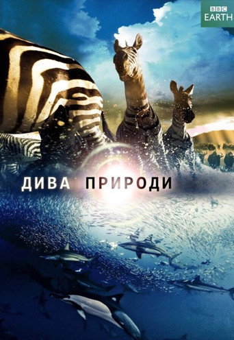 Постер «Дива природи»