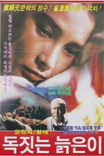 Poster of 독짓는 늙은이