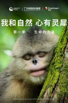 我和自然 心有灵犀 poster