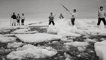 Last Days of the Arctic (2011)