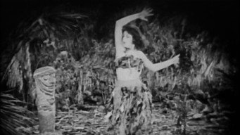 The Idol Dancer (1920)