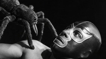 Hellish Spiders (1968)