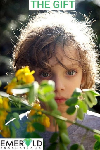 The Gift (2013)