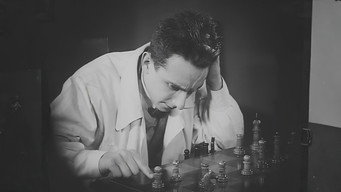 #4 Chess Fever