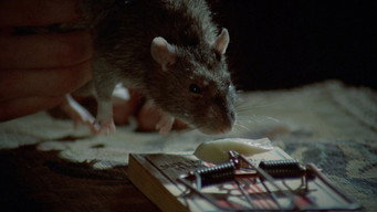 #5 The Killing Kind