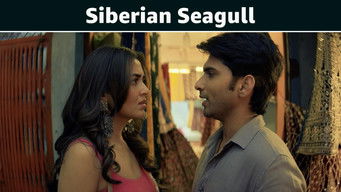 Episode 1 — Siberian Seagull