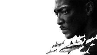 Shark Beach with Anthony Mackie (2024)