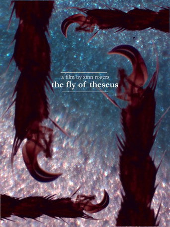 The Fly of Theseus (2026)