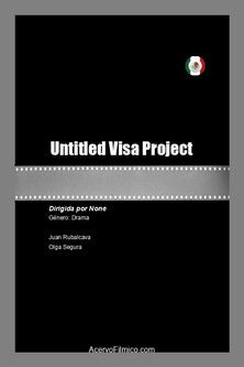 Visa Project poster