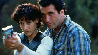 Видіння смерті (1994)