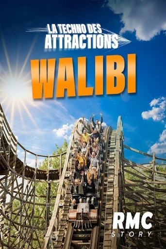 Walibi la techno des attractions poster