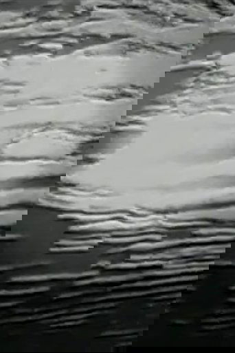 n e s t - smoke signals
