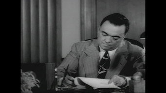 The FBI Spy Files