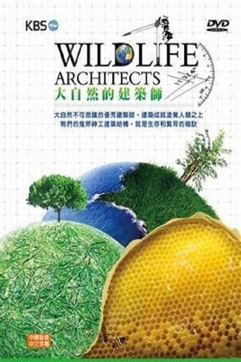 大自然的建筑师 en streaming 