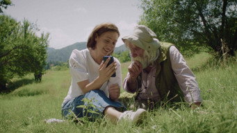 Wild Strawberries (2025)