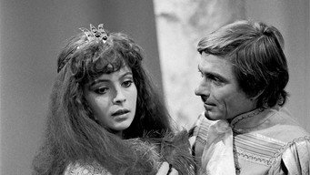 Vojácek a drací princezna (1982)
