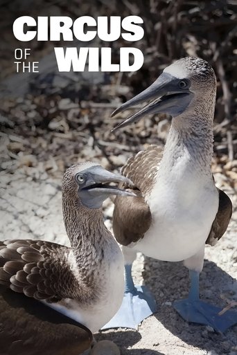 Witzig und wild - Die kuriosen Seiten der Tiere (2019)