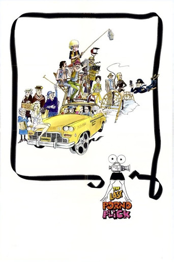 The Last Porno Flick poster 8
