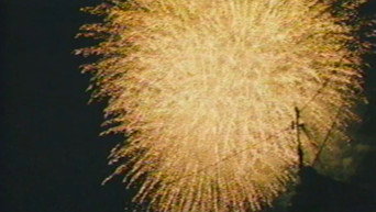 Firefly media image