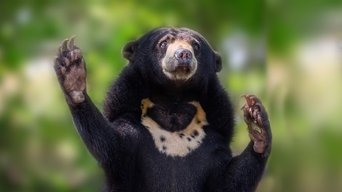 Project Wild - S1E01