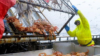 Deadliest Catch S19E18 poster