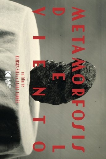 Metamorfosis del viento poster