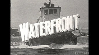 Waterfront (1954-1955)