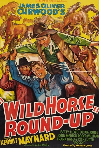 Poster för Wild Horse Round-Up