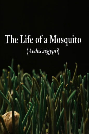 The Life of a Mosquito poster