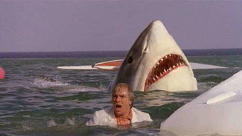 Shark Killer
