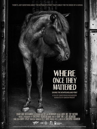 Where Once They Mattered (2015)