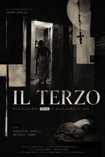 Il Terzo poster