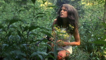 Red Sun (1970)