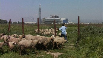 Biùtiful cauntri (2007)