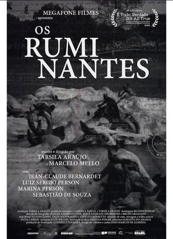 Os Ruminantes