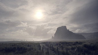 Black Coast Vanishings (2023-2024)