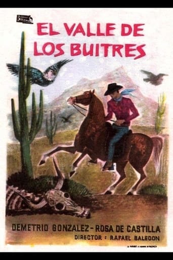 Poster of El jinete solitario en el valle de los buitres