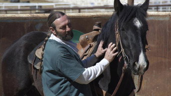 The Wild Horse Redemption (2007)