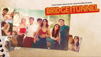 #5 Bridge and Tunnel